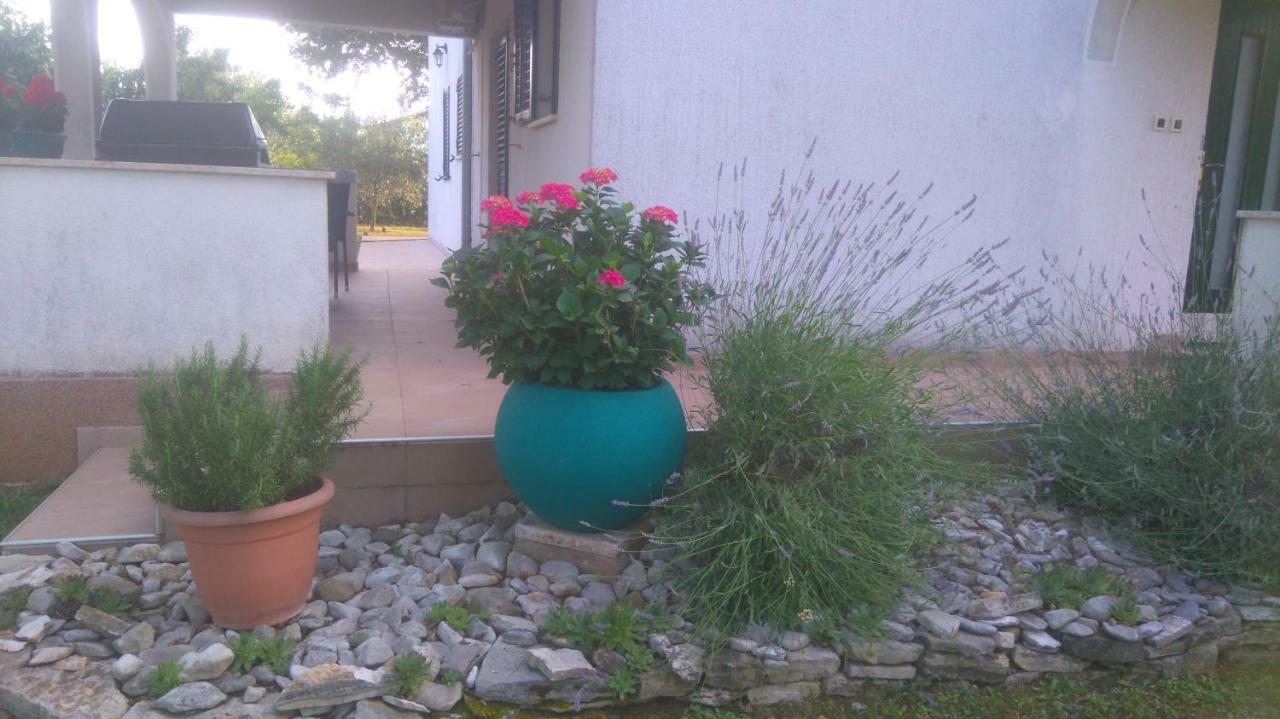 Apartmani Bauk Poreč Exteriér fotografie
