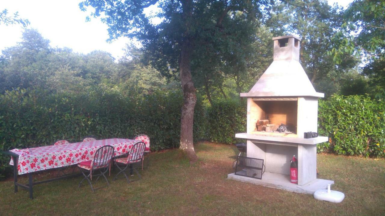 Apartmani Bauk Poreč Exteriér fotografie